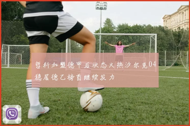 哲科加盟德甲后状态火热沙尔克04稳居德乙榜首继续发力