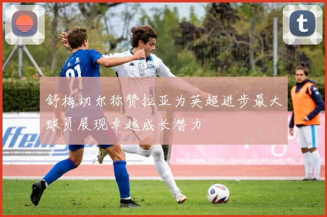 舒梅切尔称赞拉亚为英超进步最大球员展现卓越成长潜力